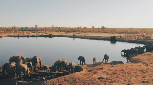 zimbabwe