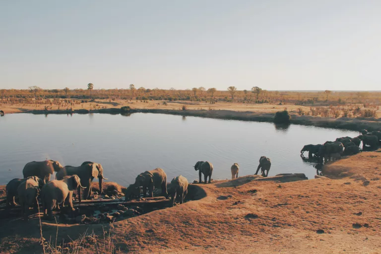 zimbabwe
