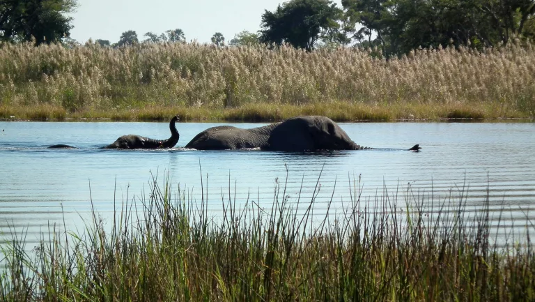 botswana