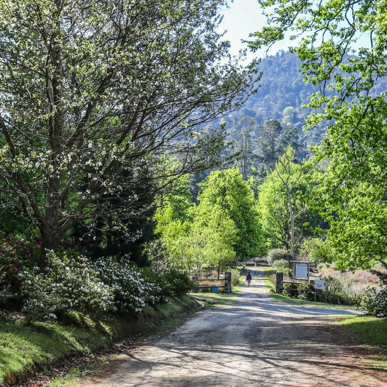 mountain towns South Africa