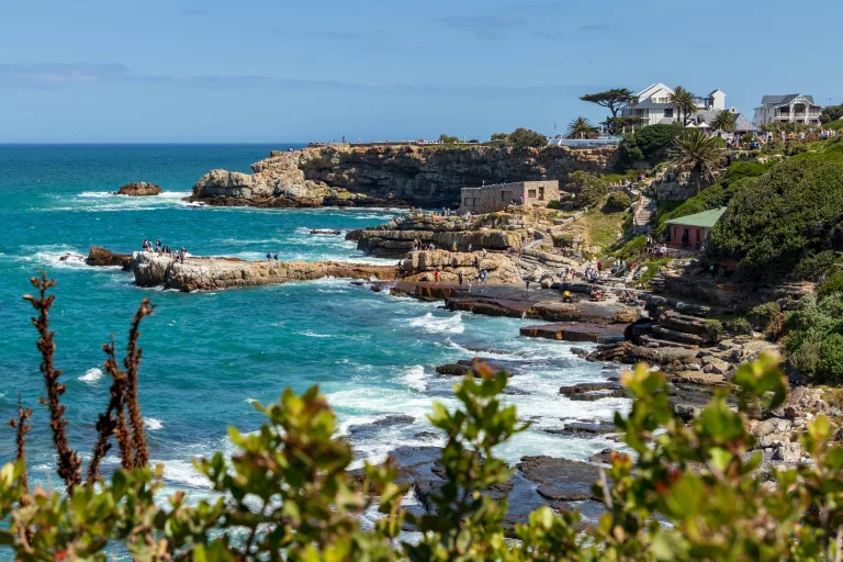 last of winter in South Africa