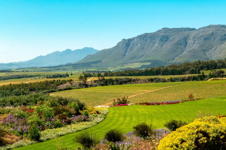 Pick your own flowers South Africa