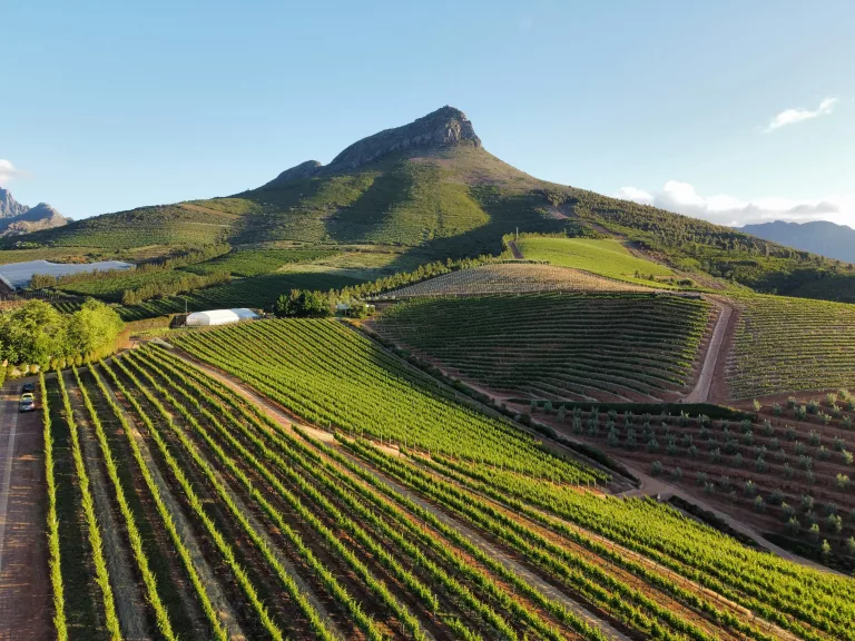 48 hours in Stellenbosch