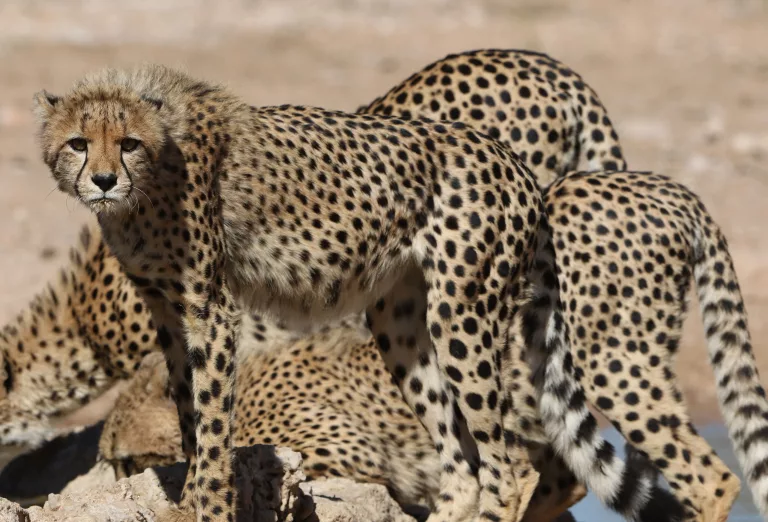 photography destinations in South Africa