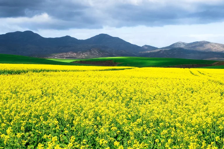mountain towns South Africa