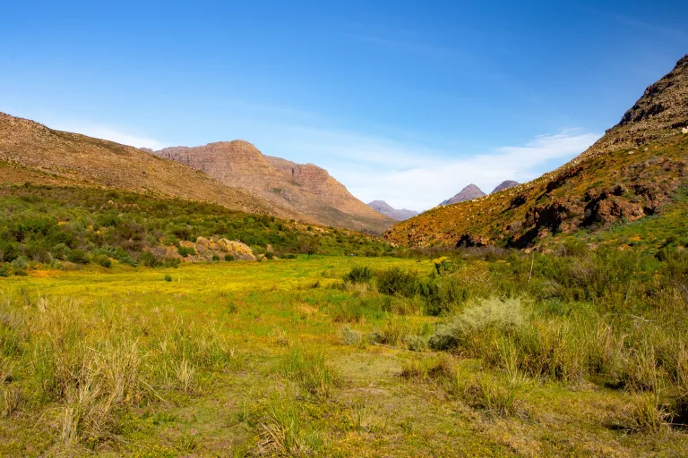 food-focused road trips
