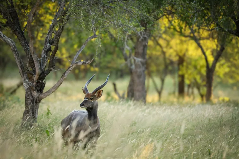 Warmest places in South Africa during winter