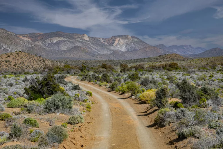 food-focused road trips