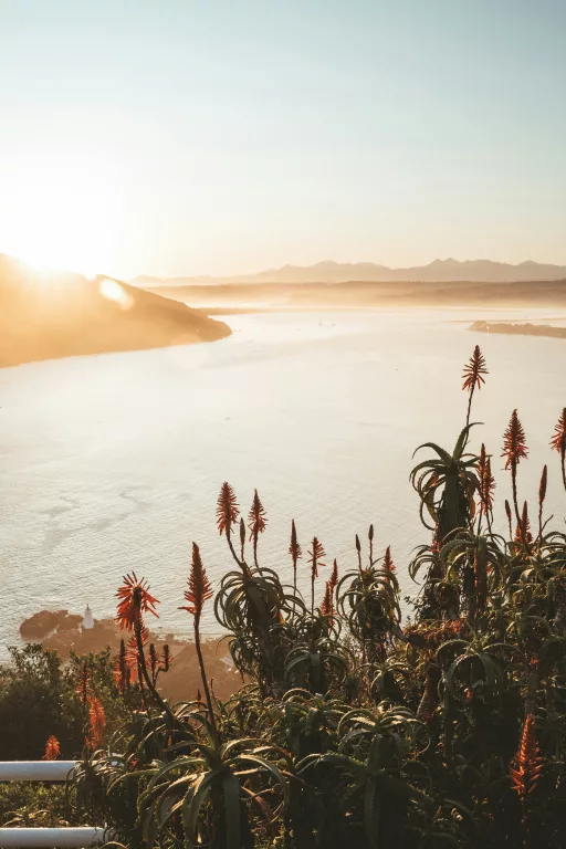food-focused road trips