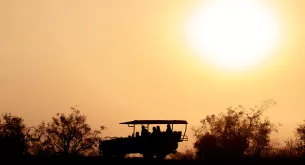alternative safari experiences
