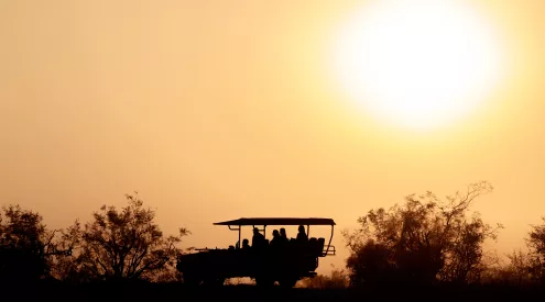 alternative safari experiences