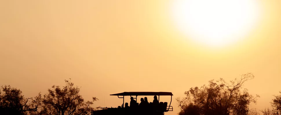 alternative safari experiences