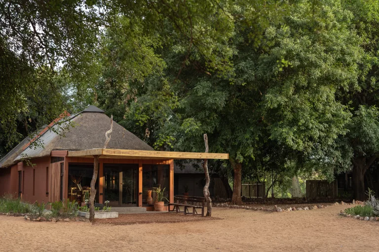 alternative safari experiences