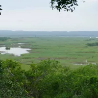 South Africa’s wetlands: The ecosystems we can’t afford to lose
