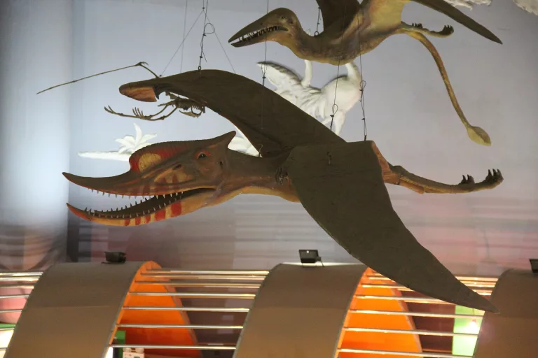 pterosaur