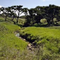 Spioenkop: The KwaZulu-Natal battlefield you can still walk through