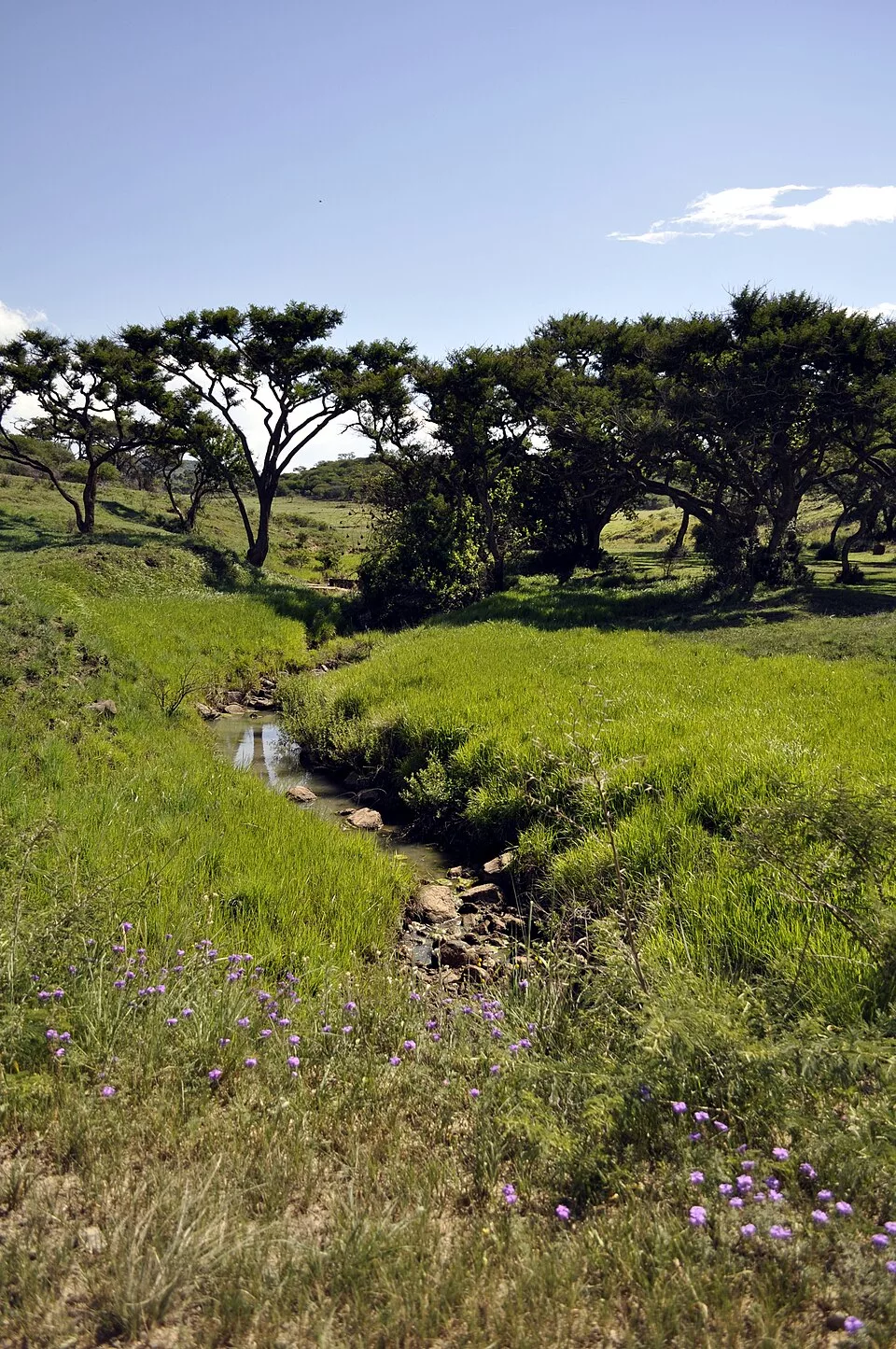 Spioenkop: Walk through this historic KZN battlefield
