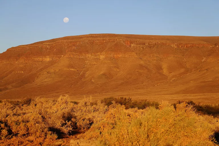 Tankwa Karoo