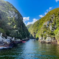 6 places where you can see wildlife from the water
