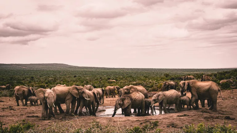 Kruger