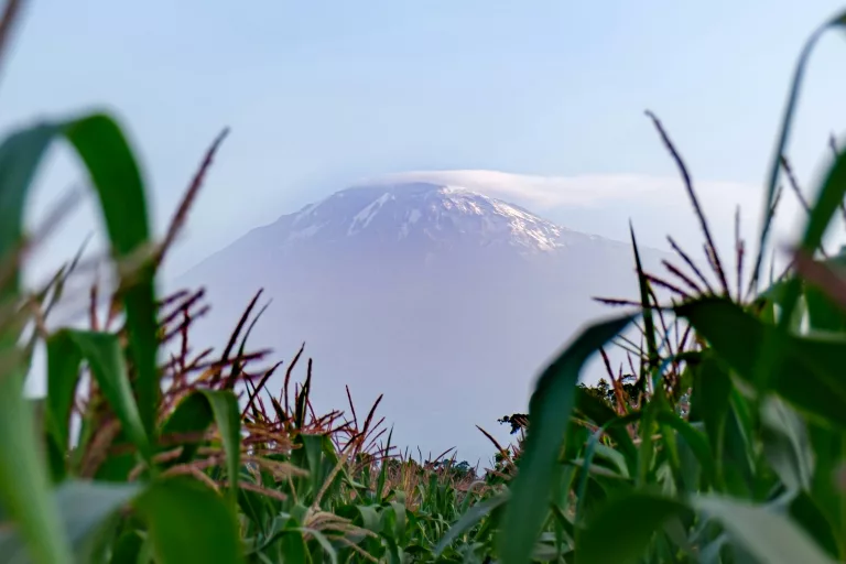 Moshi Tanzania