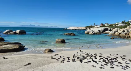 cape town