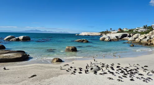 cape town