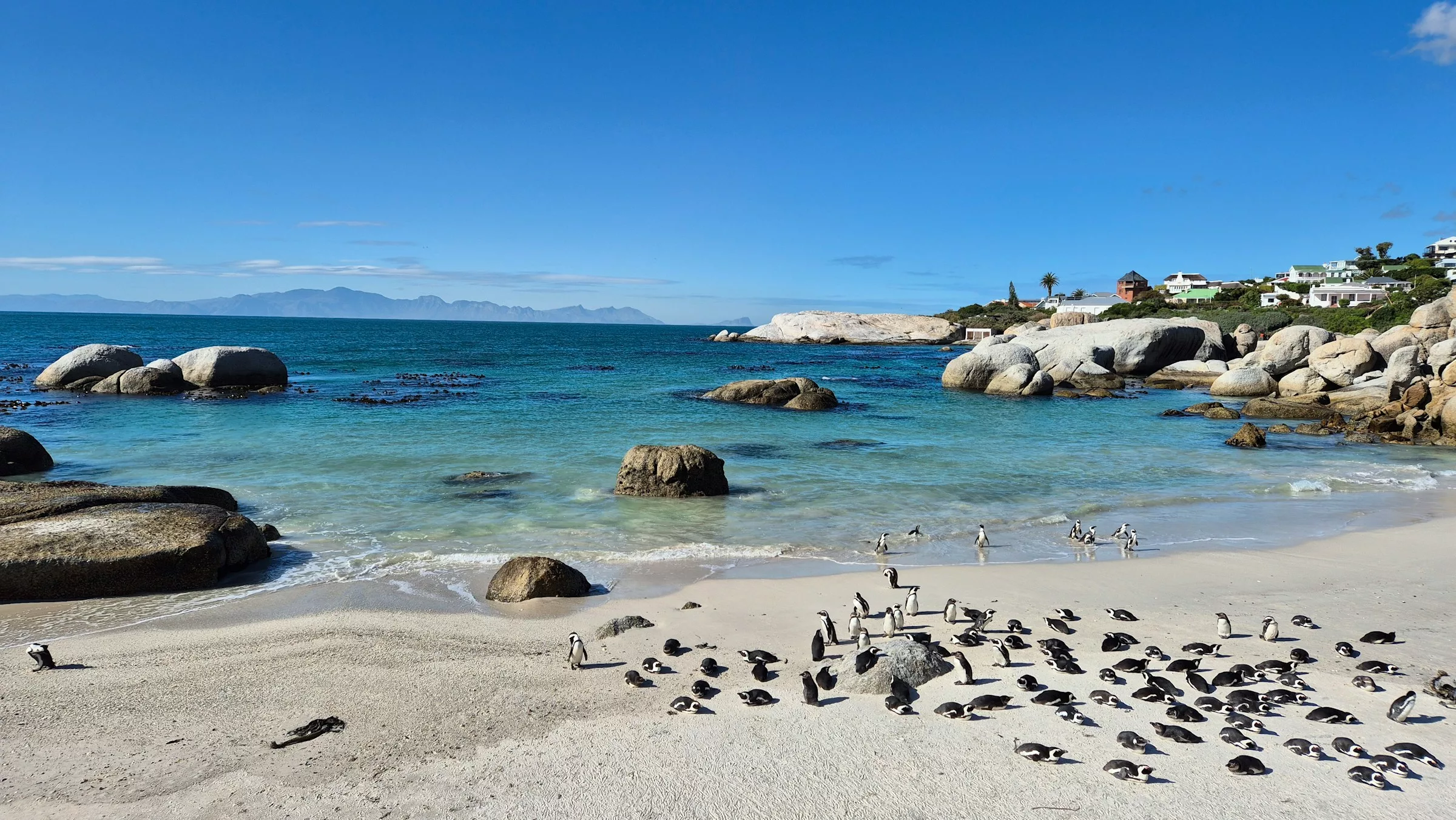 cape town