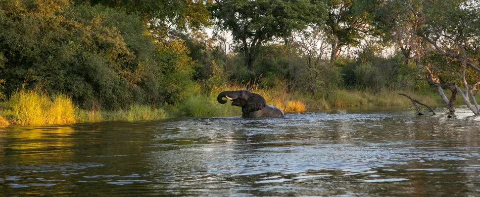 Livingstone Zambia