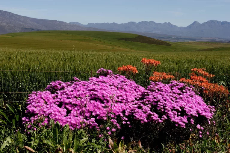 Wild & Wise retreats