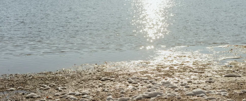 beach