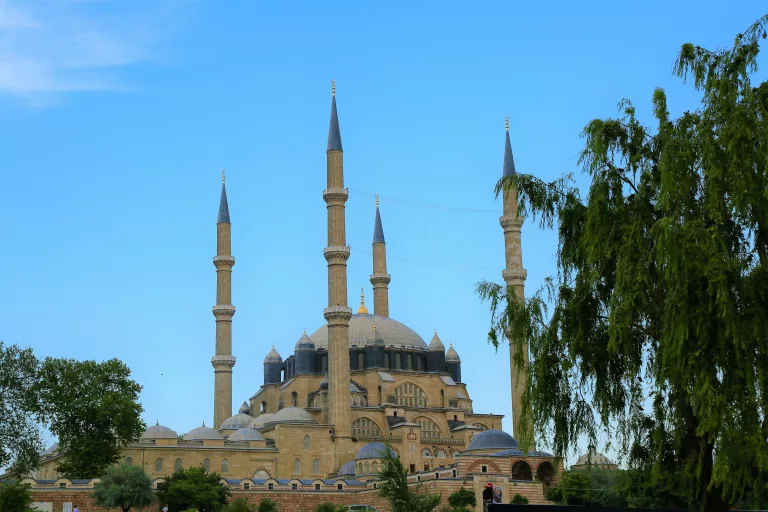 turkey