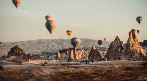turkey