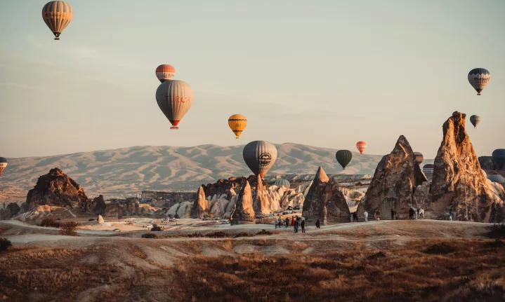 turkey