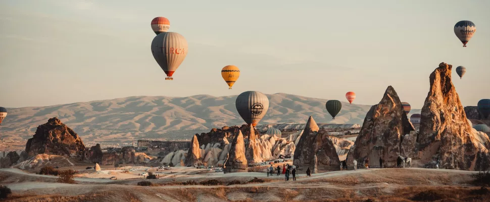turkey